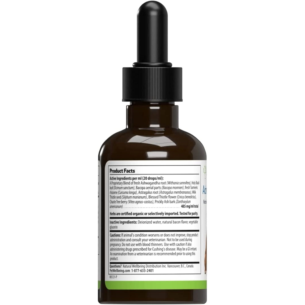 Apoyo natural para la disfunción suprarrenal y Cushing perro