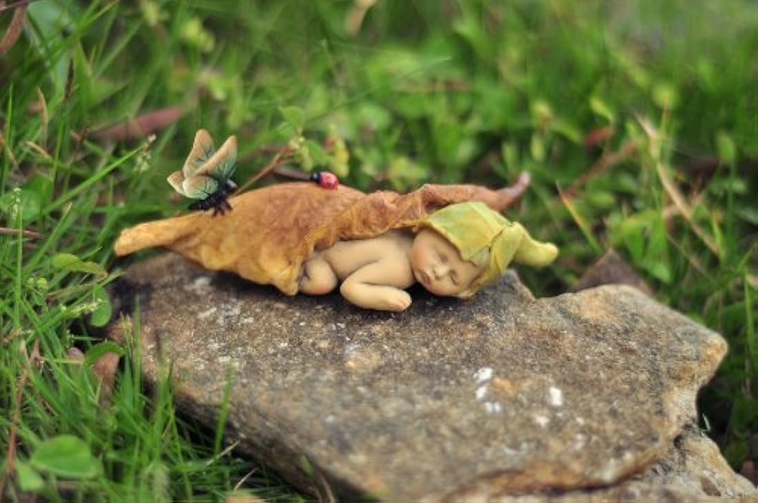 parte superior Colección Cuento encantado