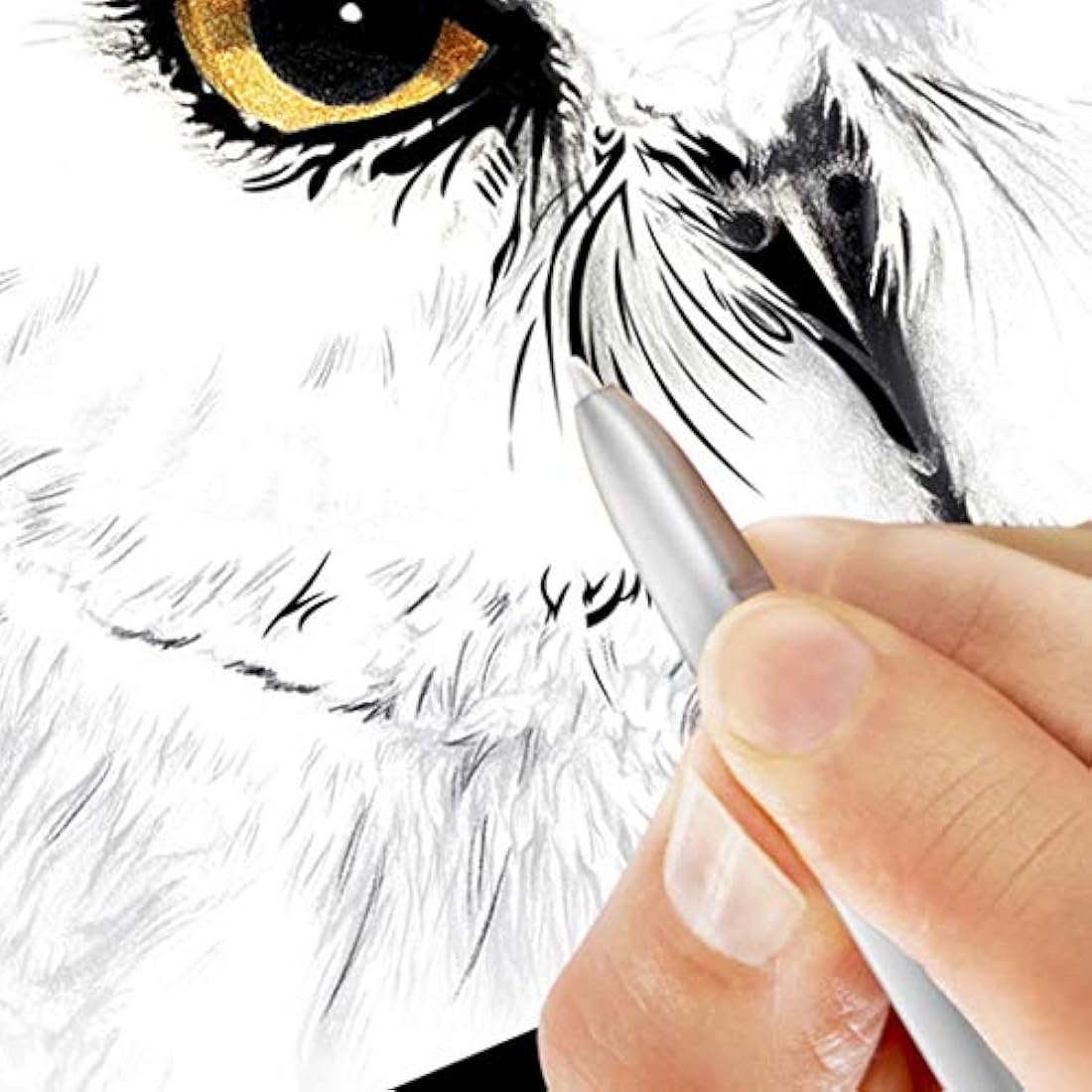 Samsung Chromebook Plus, Titán claro