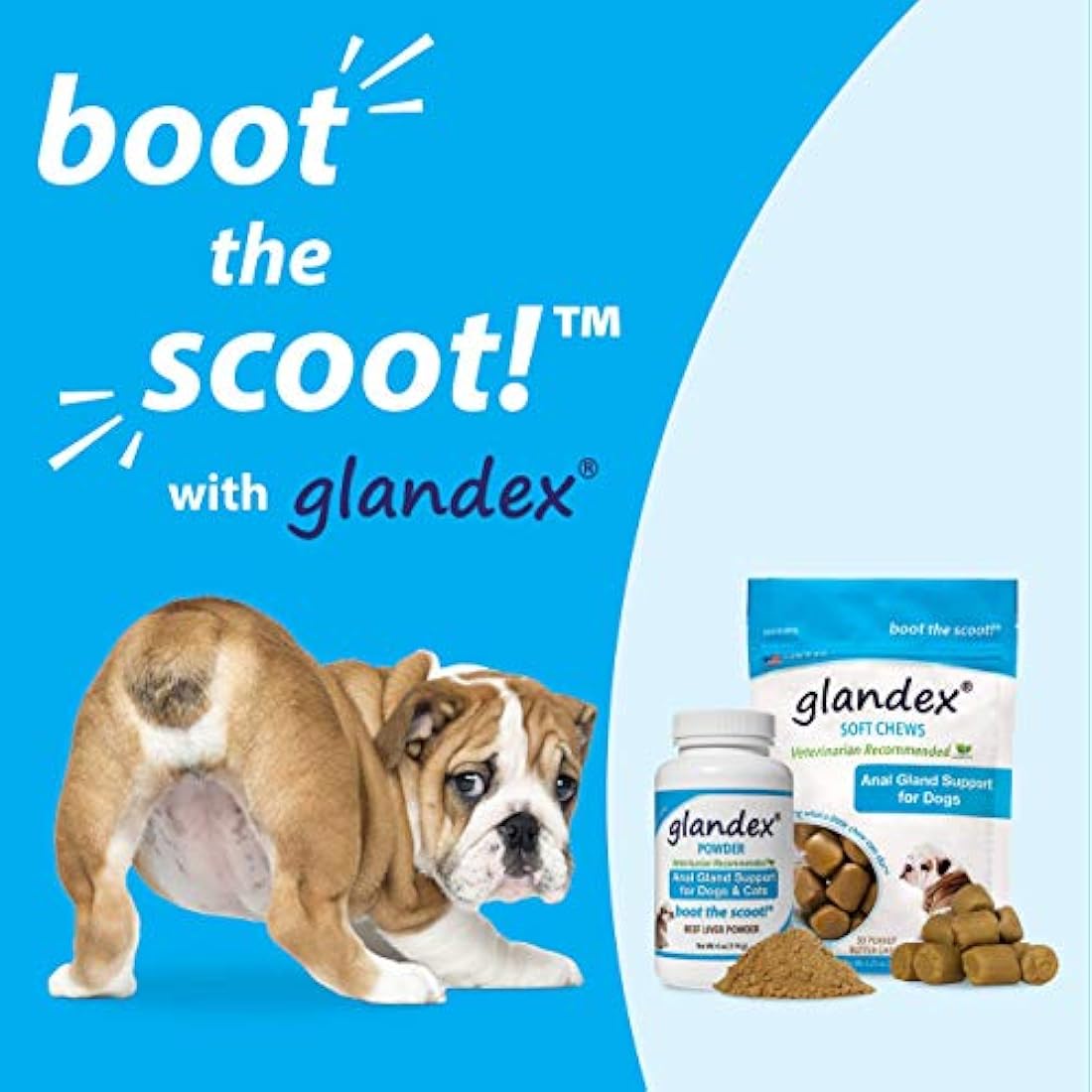 suplemento de fibra de probióticos para perros