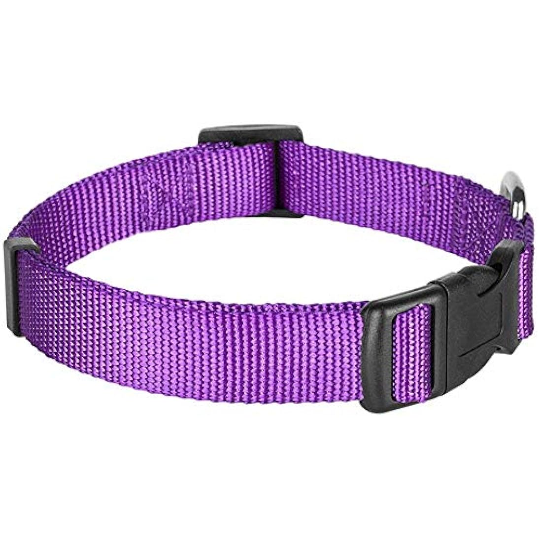 collares para masacotas