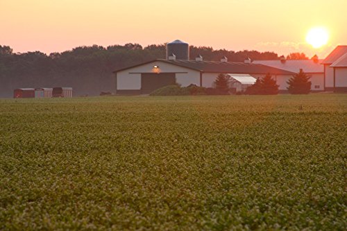 Catalina (masticable) - Vitamina A, B6, C, D,