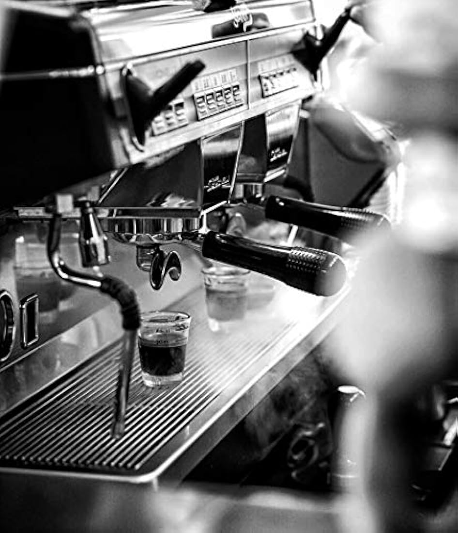 Black Insomnia granos de café enteros