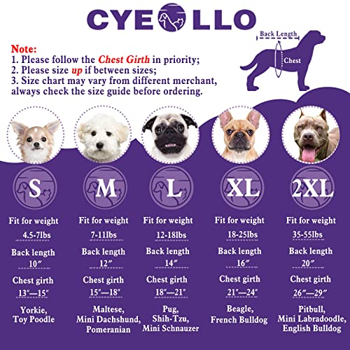 cyeollo Paquete de 2 camisas para perro, teñido anudado, chaleco elástico, camiseta sin mangas, transpirable, ropa de verano para cachorros, perros y gatos