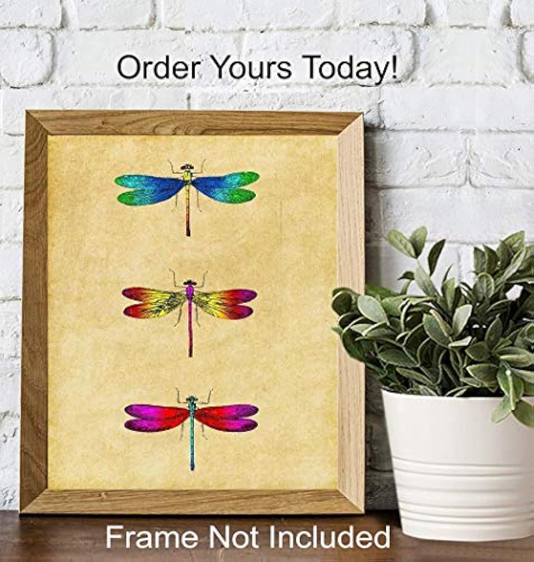 Decoraciones de habitaciones únicas