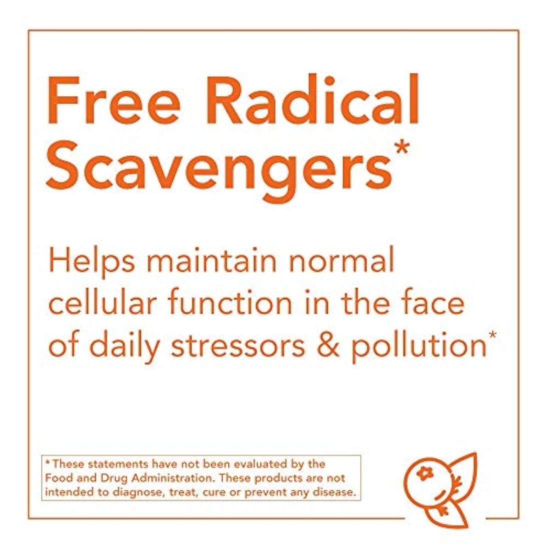 NOW Foods EGCg Extracto de Té Verde 0.014 oz, 4704, 1, 1