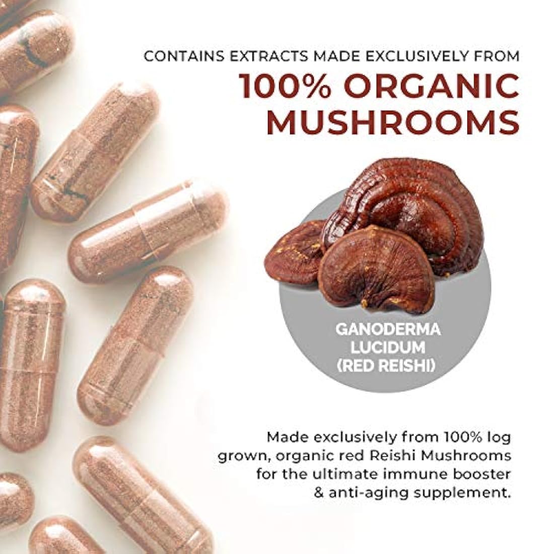 Suplemento para mayor longevidad Reishi