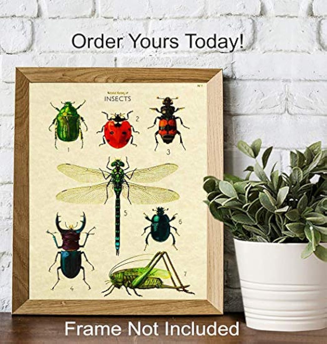 póster de arte de pared 8x10 póster de error científico