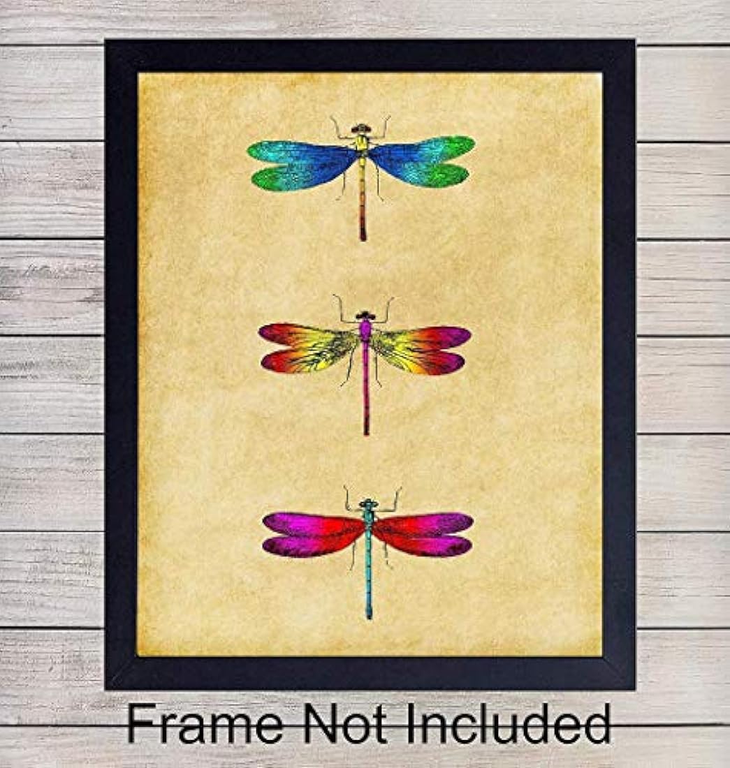 Decoraciones de habitaciones únicas