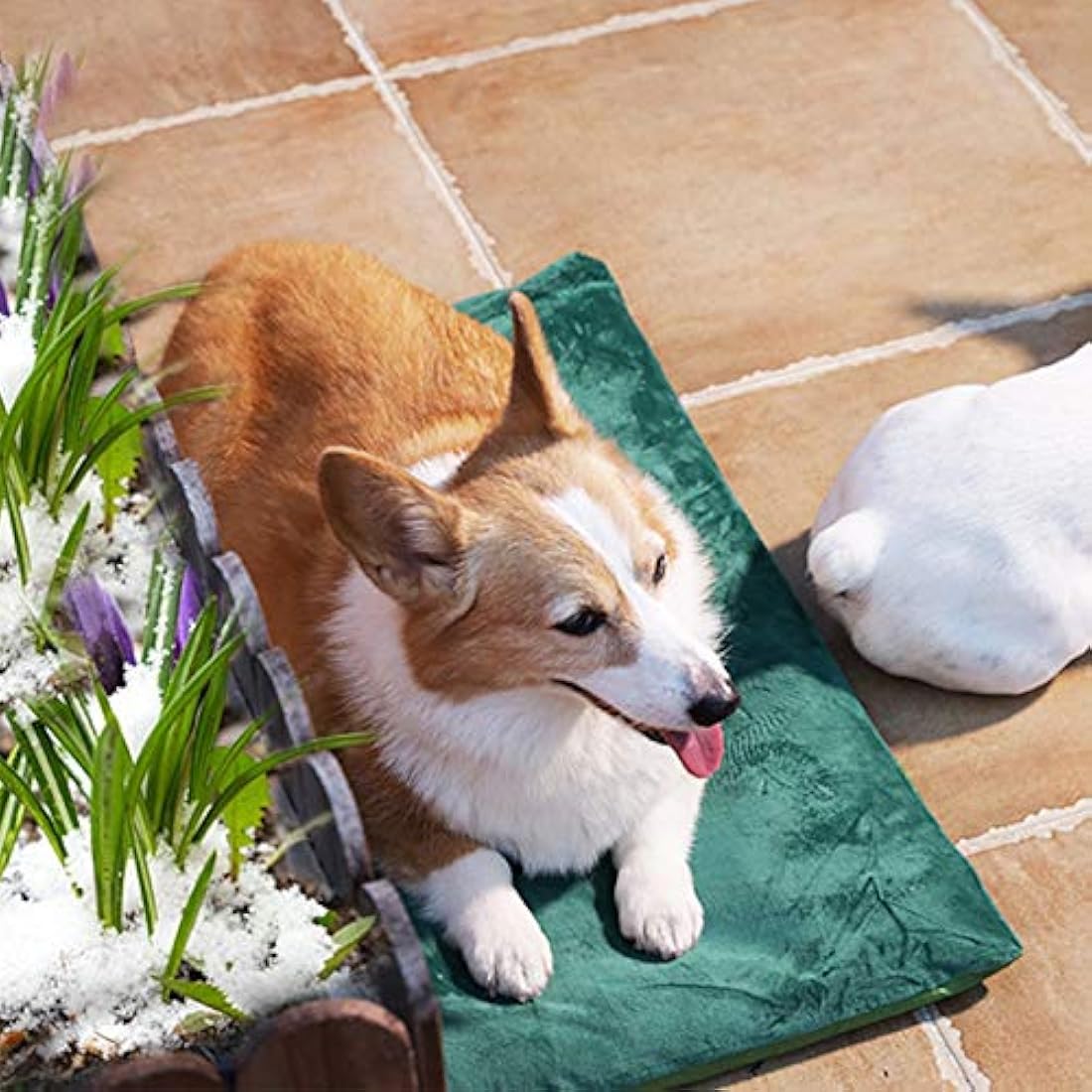 Almohadillas térmicas para mascotas al aire libre