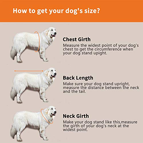 Chaleco salvavidas para perro, cinturón ajustable de fácil ajuste, protector de mascotas, traje de baño de seguridad con rayas reflectantes para perrito (XS, moteado y azul)