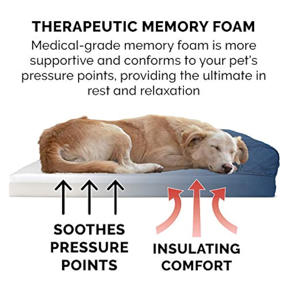 Cama para perro Furhaven para mascotas Sofá terapéutico