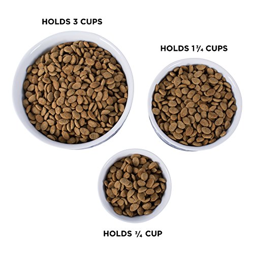 Tazón de cerámica para mascotas para alimentos y agua