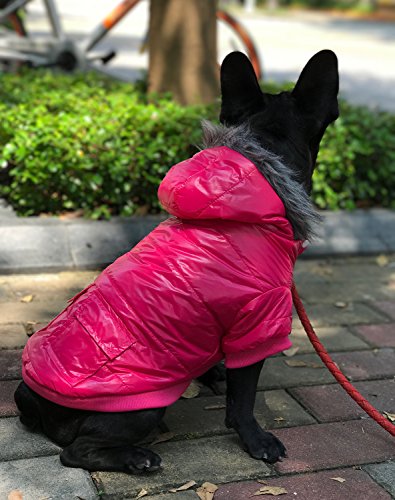 LESYPET Abrigo de invierno cálido para perro acolchado