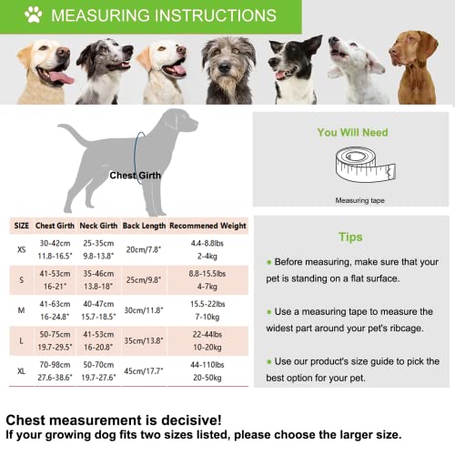 Chaleco salvavidas para perro, reflectante y ajustable