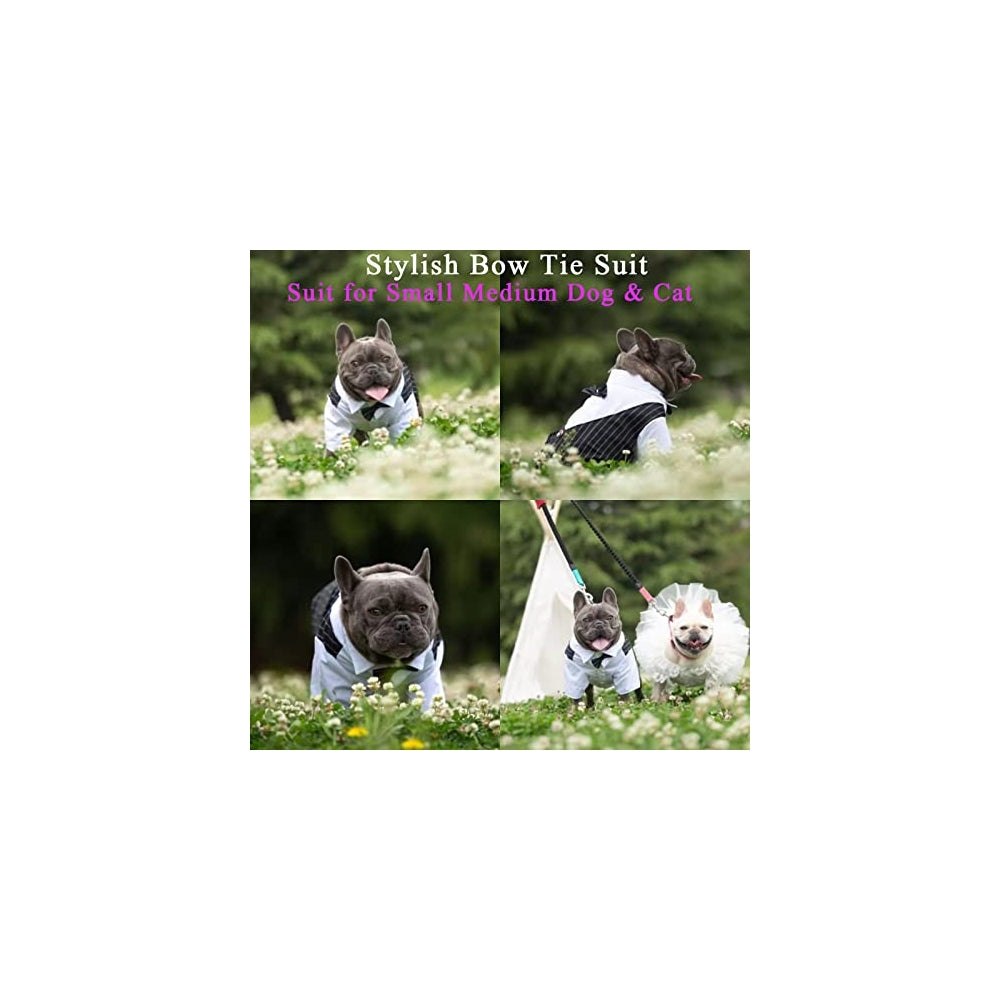 Disfraces de Camisa de esmoquin para perro talla XS