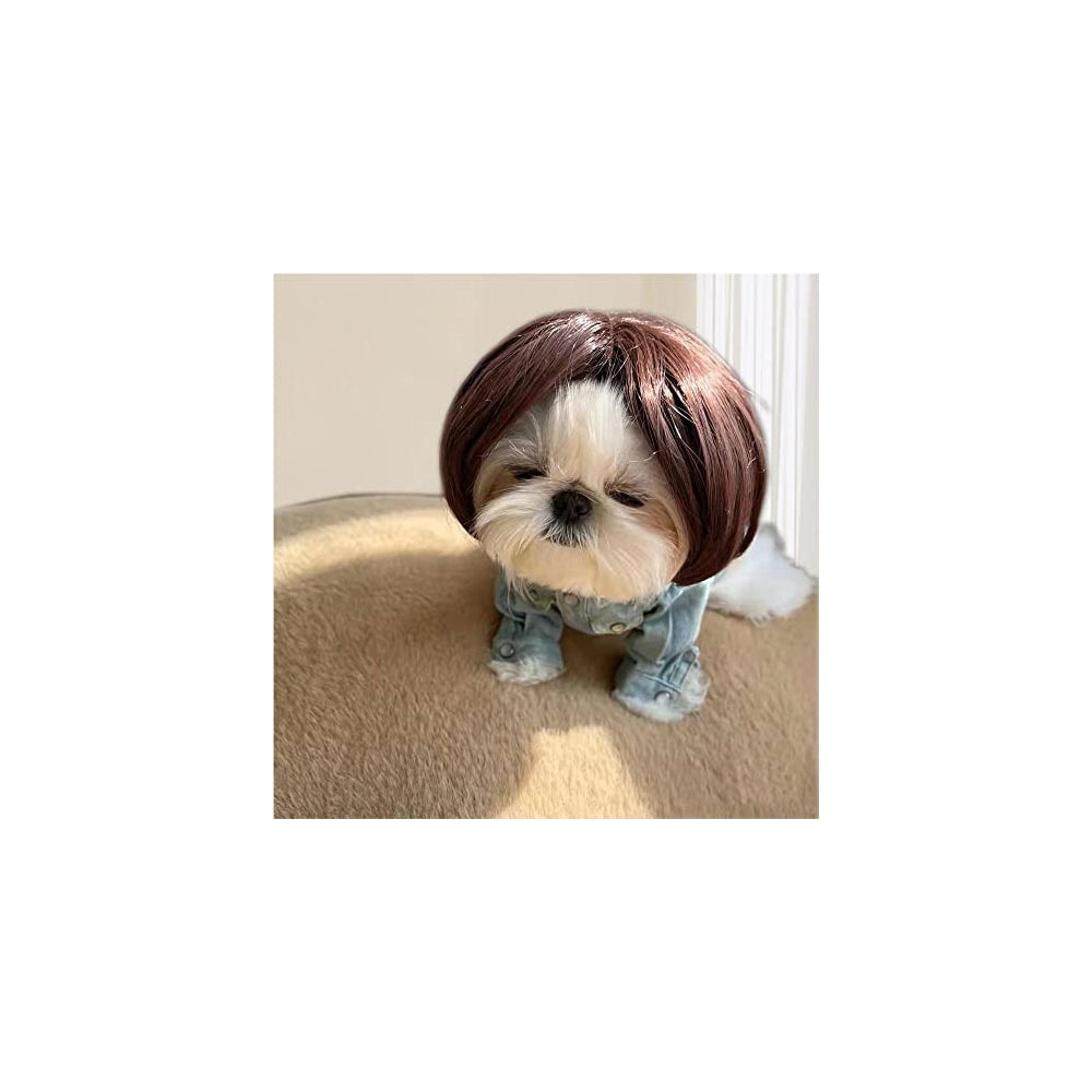 Disfraces de peluca de perro talla L