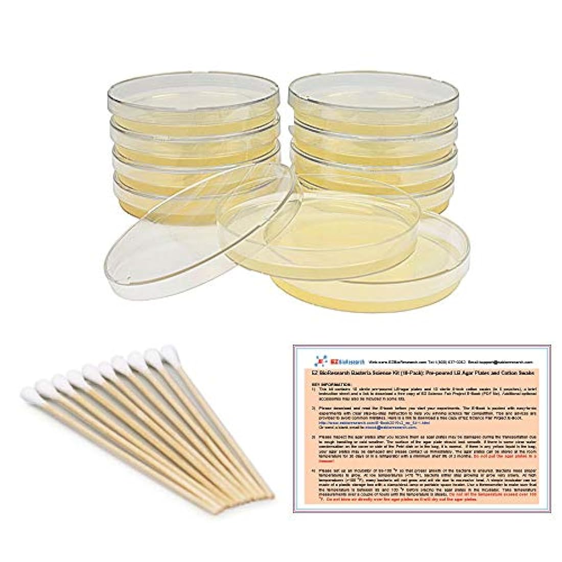 Kit de ciencias de bacterias EZ Bioresearch (IV):