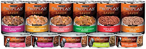 Alimento para perros, sabor carne