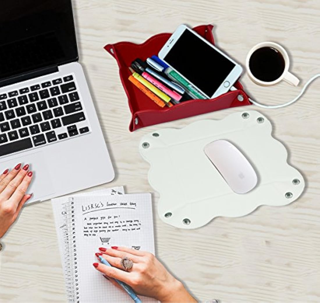 LISRSC - Bandeja de almacenamiento multifuncional de piel