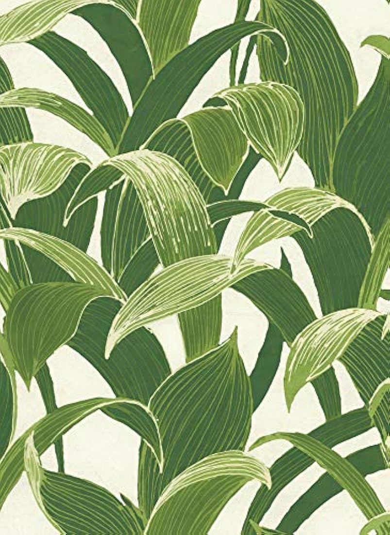 Papel revestimiento de vinilo verde (20.5inx18.0ft(30.7 ft²)