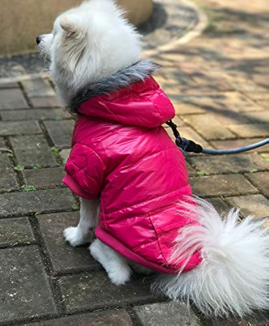 Abrigo de invierno cálido para perro
