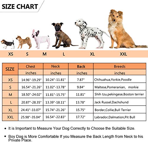 Queenmore chaleco salvavidas para perros Ripstop