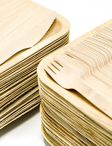 JUEGO DE PLATO DE PAPEL