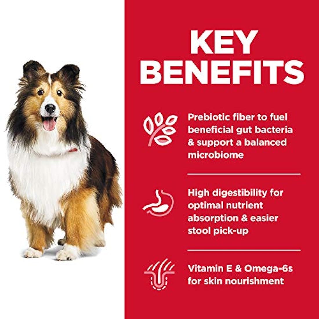 Alimento seco para perros adultos recetas sensibles