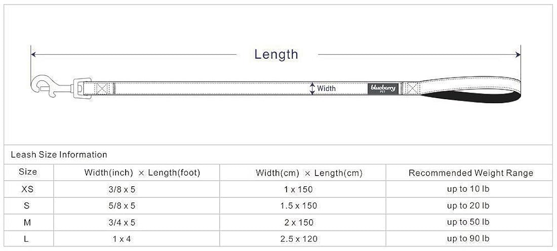 Correa clásica duradera para perros.