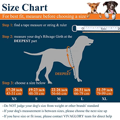 VIVAGLORY Chaleco salvavidas para perros en forma de ballena, cómodo y seguro para perros con adornos reflectantes y anillo en D integrado para correa, azul, XL