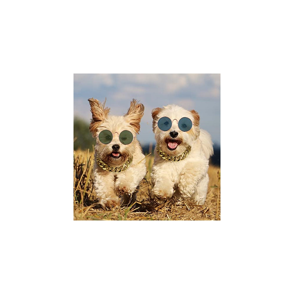 Disfraces de 6 piezas para perro talla única