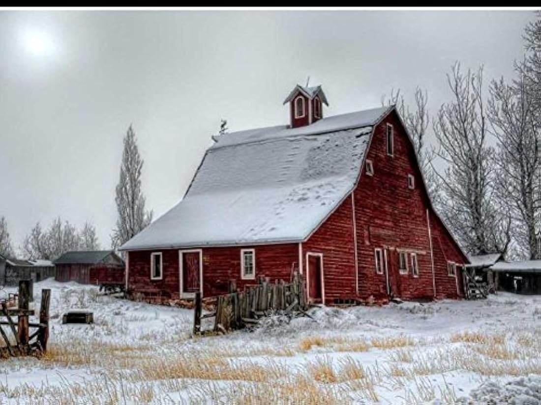 Pintura al óleo sobre lienzo arte de la pared Fotos Moderno