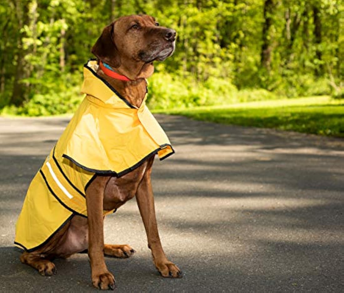 Impermeable para perros