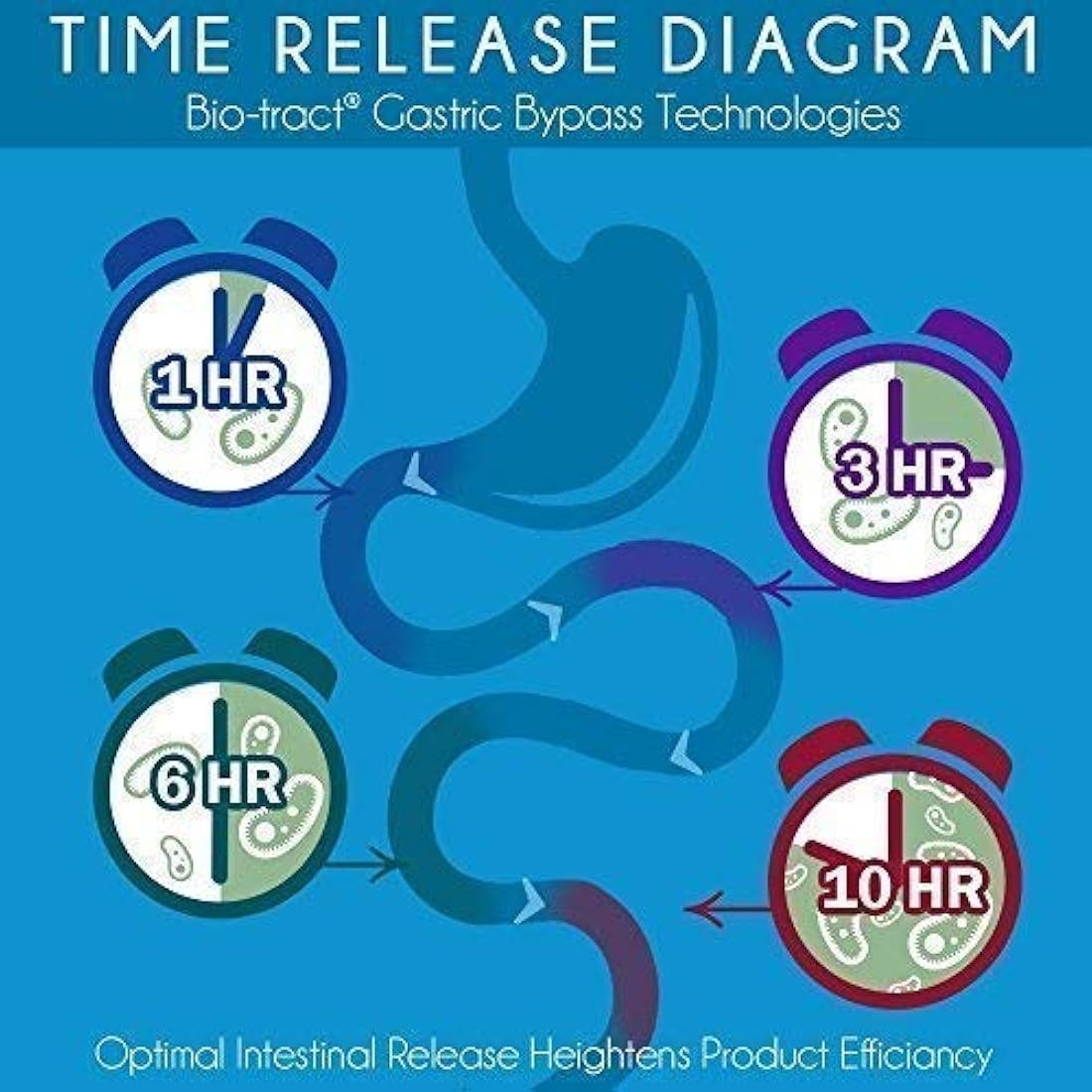 Probiótico natural, Amarillo, 1, 1