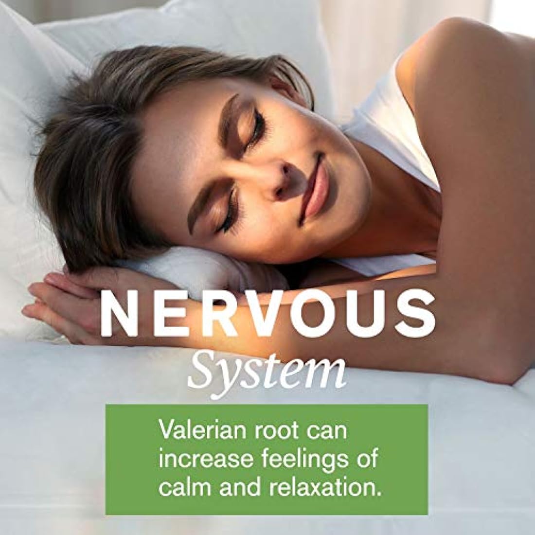 Valeriana Root (100)