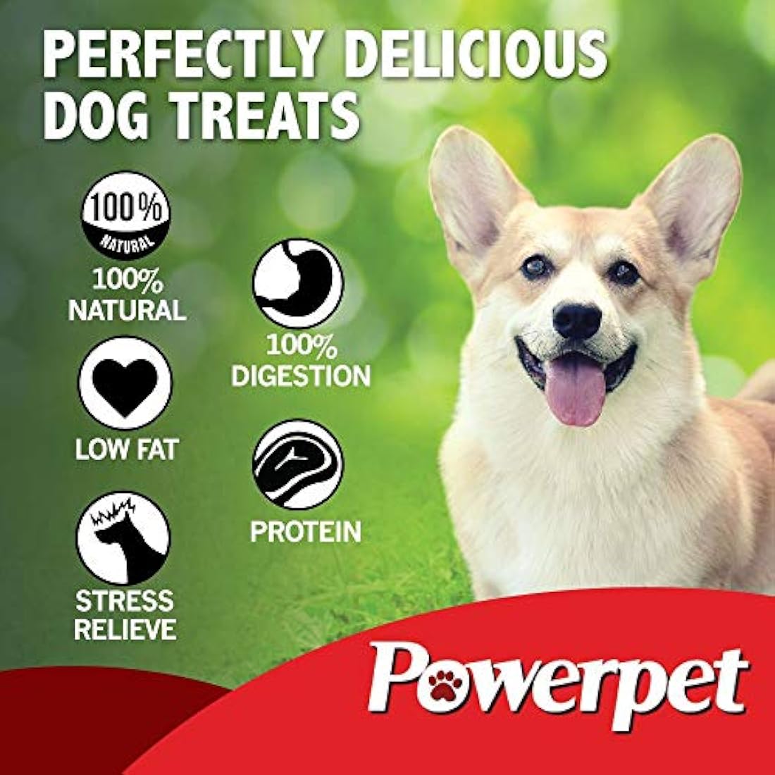 powerpet Bully Stick Bites 1Lb Dog Treats Natural