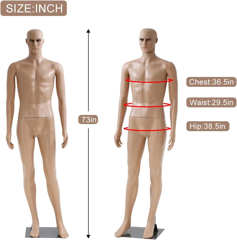 Maniquí Torso Masculino Ajustable con Base Metálica 73