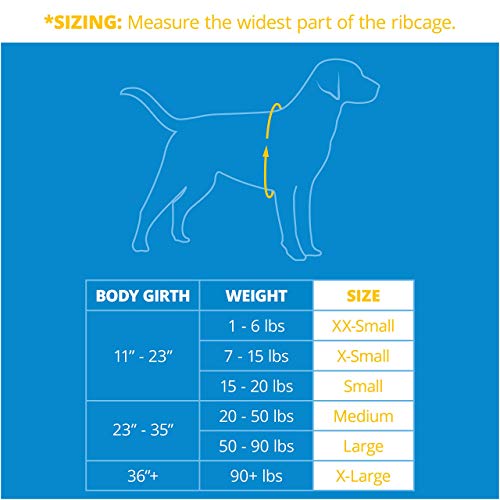 Paws Aboard Chaleco salvavidas para mascotas