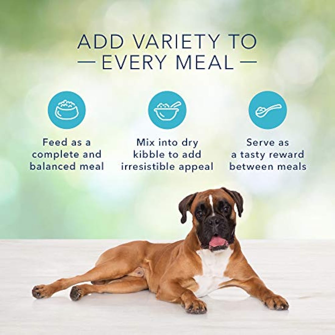 Alimento húmedo para perros adultos paquete de 12