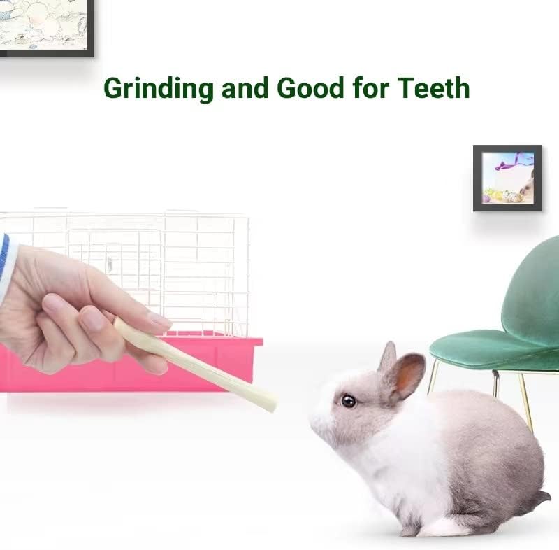 Snacks de Bambú 300g para Conejos y Roedores - Molar Treats