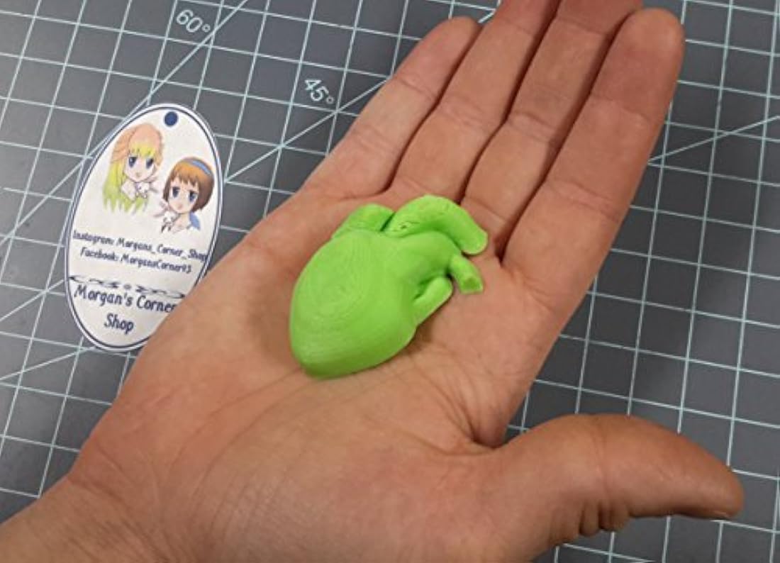 Corazón humano (Tamaño Mediano) Resina Molde de plástico, moho, moho de corazón, la arcilla del moho, jabón moho, de cera, anatomía del moho, moho humanos, Bomba de Baño