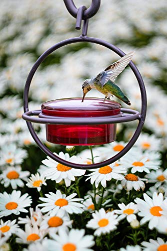 Comedero circular para colibrí, de cristal rojo