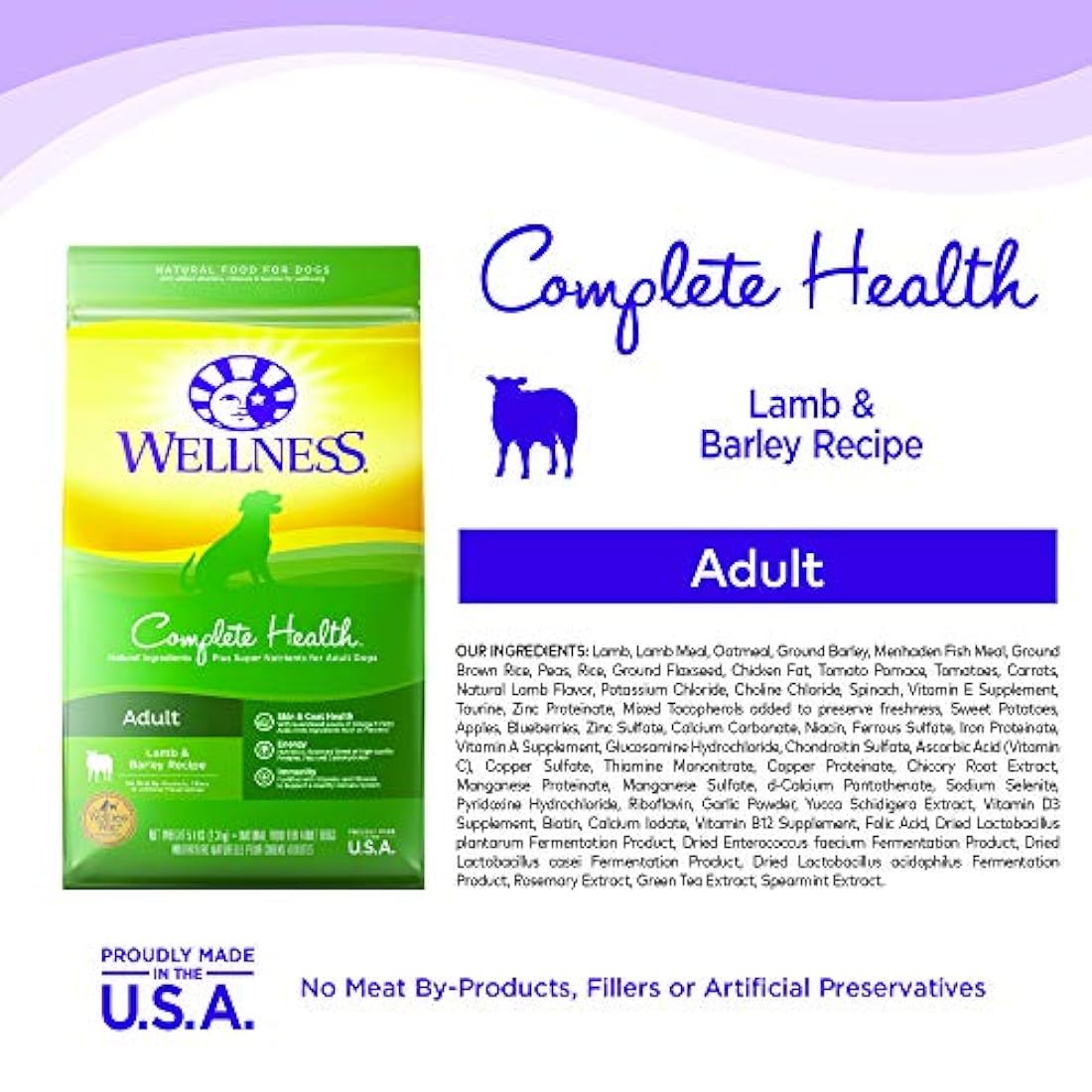 Alimento seco natural para perro Wellness Complete Health