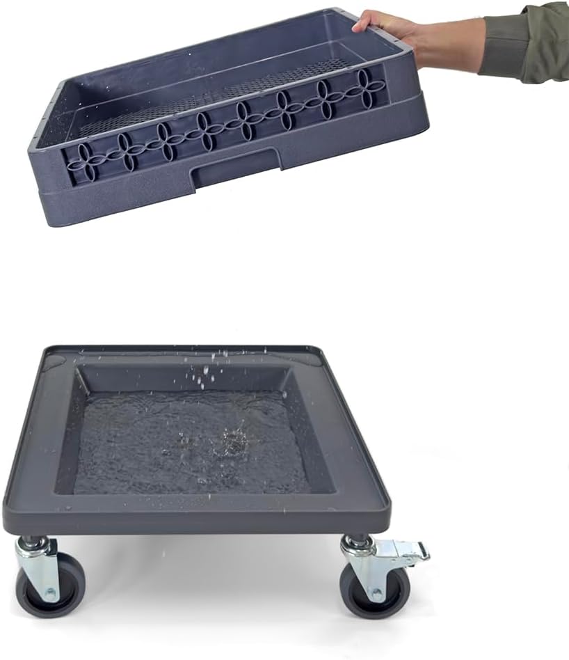 Dolly para estante de platos y vasos | 250 lbs capacidad | 4