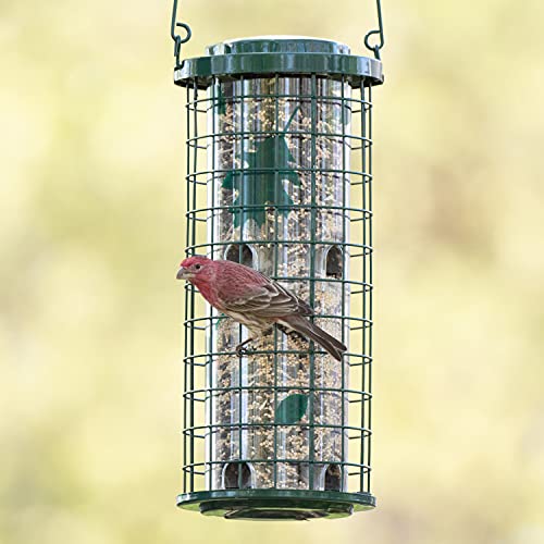 Comedero para pájaros salvajes, Verde 114G Perky-Pet