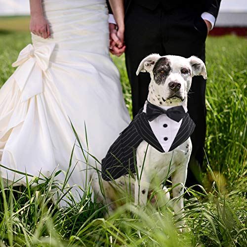 Conjunto de disfraz de esmoquin para perro pequeño