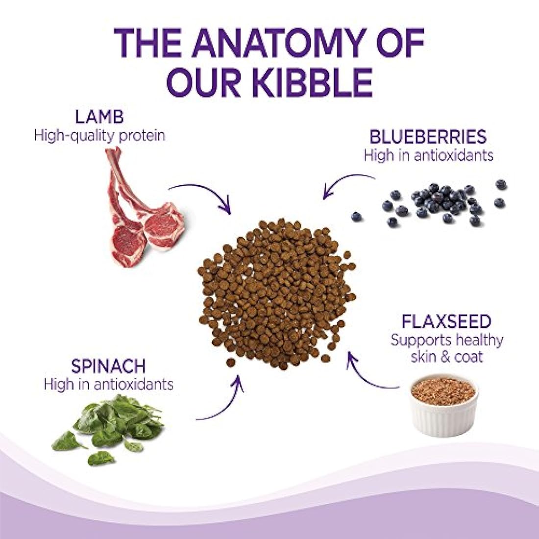 Alimento seco natural para perro Wellness Complete Health