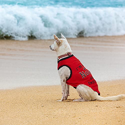 8 camisas para perros con estampado de mascotas con letras divertidas camisetas de verano para mascotas, camisas frescas para cachorros, trajes transpirables para perros, sudadera suave para mascotas, perros y gatos