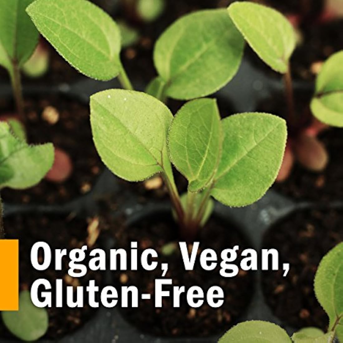 Extracto orgánico certificado de Ashwagandha para la energía